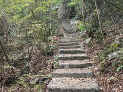 -大面山