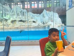 -帝企鹅自助餐厅•儿童岛•真企鹅(长隆企鹅酒店)