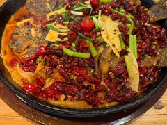 -老板恋上鱼(印象城店)