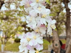 -元大都城垣遗址公园