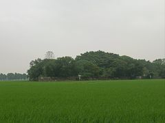 -崖口煲仔饭