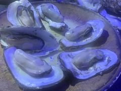 原味生蚝-蠔爺王志德生蚝馆(金沙湾店)