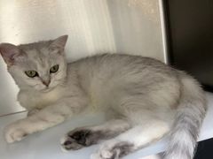 -宠颐生宠物医院·骨外科·犬猫全科诊疗中心(池州店)