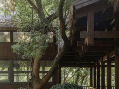 -盘龙城国家考古遗址公园