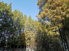 -东南大学（四牌楼校区）体育馆