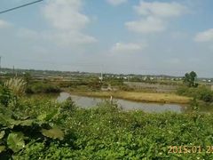 -东寨港红树林旅游区