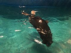 -石家庄海洋公园