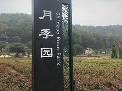 -龙寺生态园