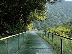 -龙井峡漂流