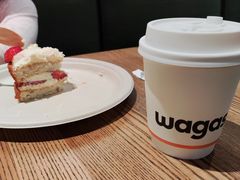 -Wagas沃歌斯(浦东机场店)