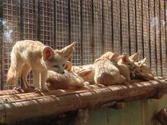 -昆明动物园