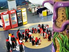 -芜湖新华联大白鲸海洋公园