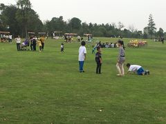 -瑶湖郊野森林公园
