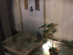 -三亚亚龙湾五号度假别墅酒店