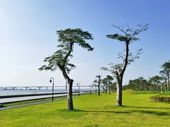 -芒洲湿地公园