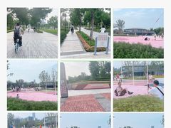 -上海山野camping·户外天幕烧烤·团建拓展营地