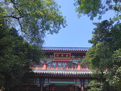 -灵谷景区