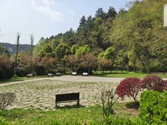 -黔灵山公园