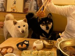 -柴の食堂·日式家庭料理·熊之肆(大学路店)