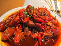 -京B·东篱精酿啤酒音乐餐厅