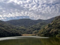 -黄埔油麻山森林公园