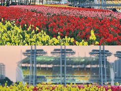 -海心沙亚运公园