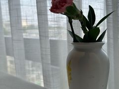 -新侨小馆(东直门北小街店)