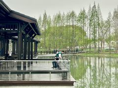 -渤公岛生态公园