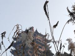 -黄鹤楼