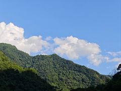-沣峪口