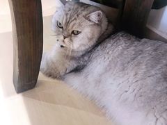 -Oasis绿洲银饰珍珠手作diy(壹方城店)