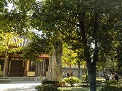 -西安大兴善寺