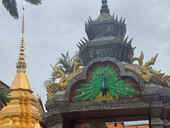 -西双版纳傣族园