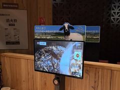 -巴奴毛肚火锅(相州店)