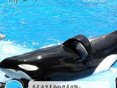 -秦皇岛新澳海底世界