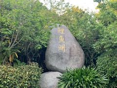 -福建鲤鱼洲酒店