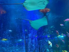 -沈阳海洋探索中心