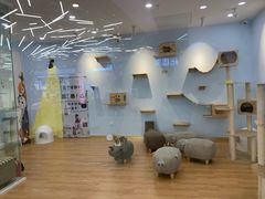 -猫冇咖·家门口的撸猫馆(大融城店)