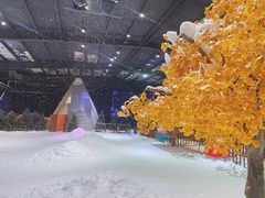 -宁波冰雪大世界(北仑区)