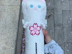-星巴克(花木plus乐坊店)