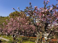 -昆山城市公园