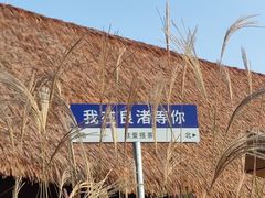 -良渚古城遗址公园