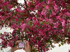 -长白岛森林公园