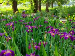 -国家植物园南园