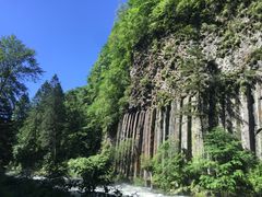 -望天鹅景区