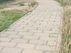 -绿堤公园