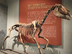 -齐齐哈尔市博物馆