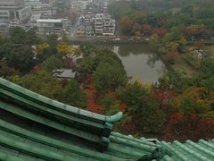 -名古屋城