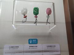 -旅顺博物馆