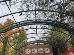 -老磨油饼(高陵店)